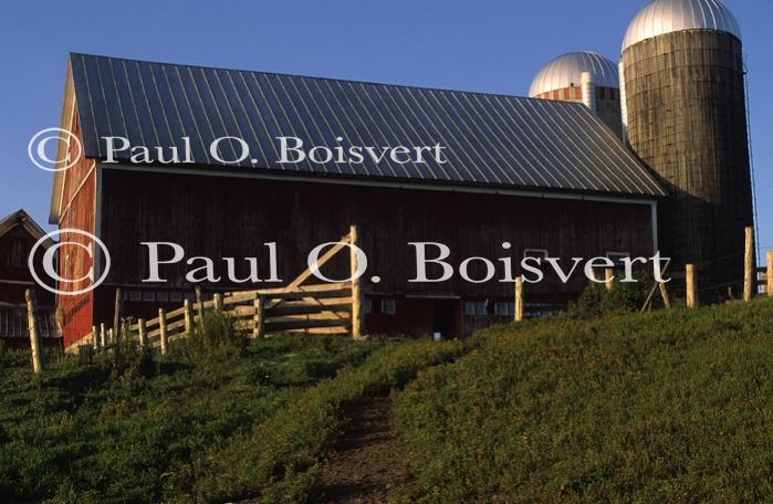 Architectural-Summer 10-20-00459