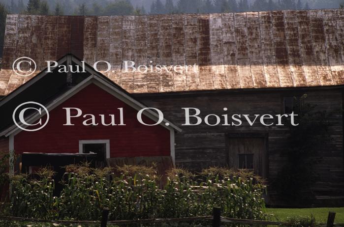 Architectural-Summer 10-20-00714