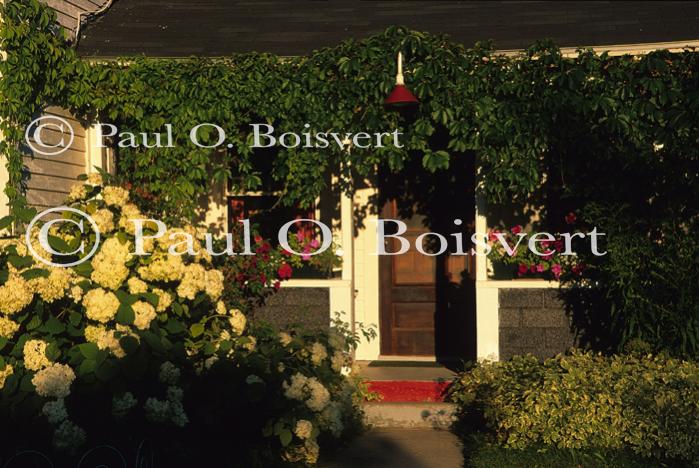 Architectural-Summer 10-20-01344