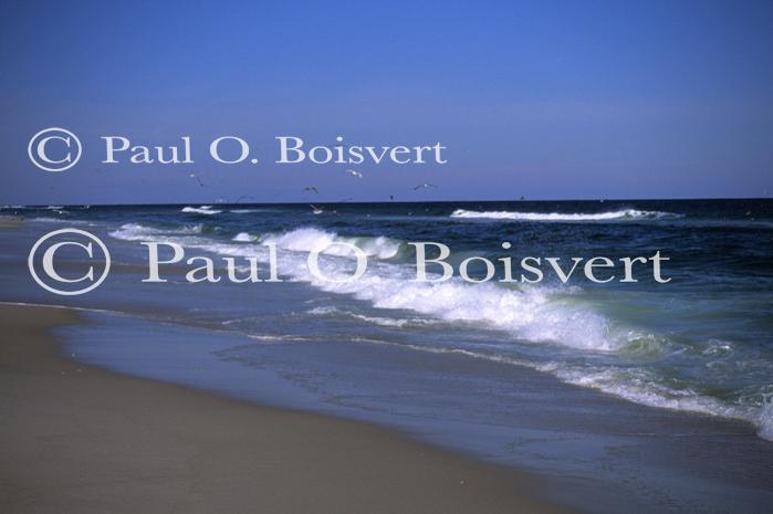 Jersey Shore 90-21-00091