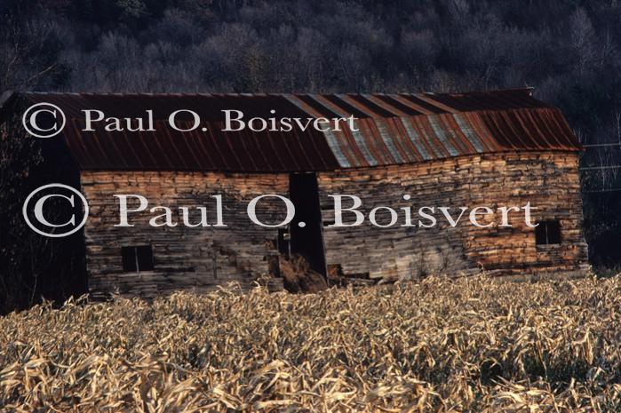 Architectural-Fall 10-10-00040