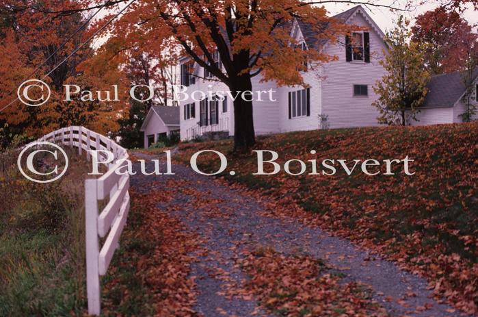 Architectural-Fall 10-10-00062