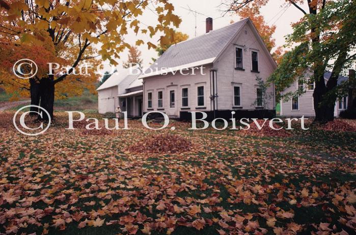 Architectural-Fall 10-10-00069