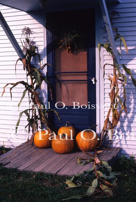 Architectural-Fall 10-10-00109