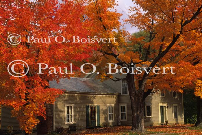 Architectural-Fall 10-10-00893