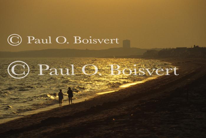 Cape Cod 90-12-00008