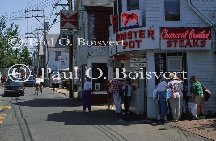 Cape Cod 90-12-00084