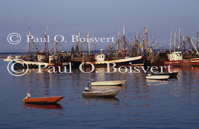 Cape Cod 90-12-00101