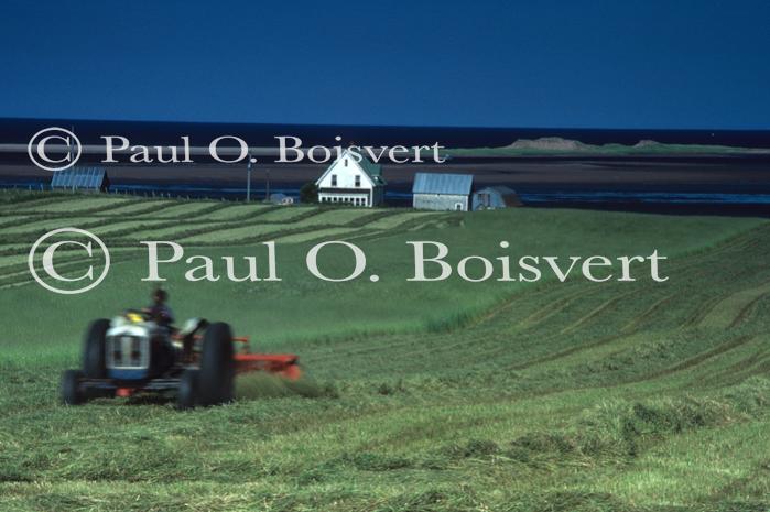 Prince Edward Isle 90-30-00027