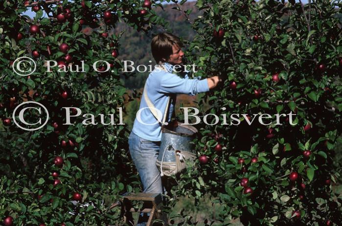 People-Fall 30-06-00009