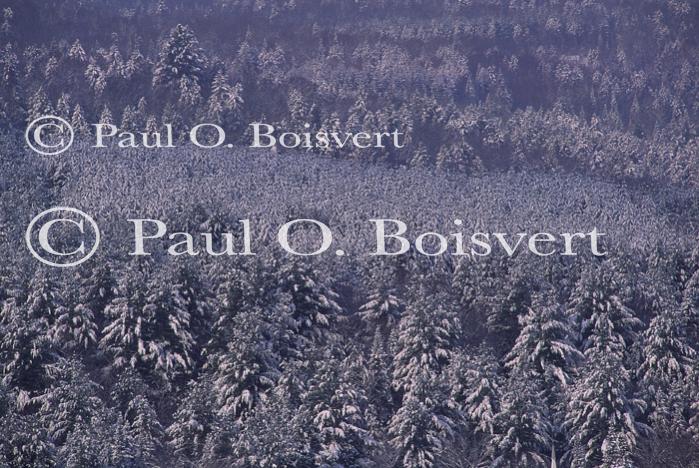 Scenery-Winter 70-30-02414